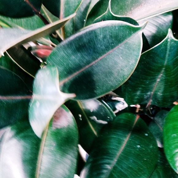 Meet your Posher, Jimena - Picture 1 of 1